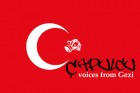 Çapulcu, Voices from Gezi