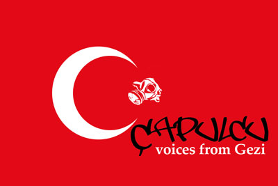 Çapulcu, Voices from Gezi